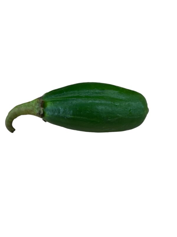 Jiló Fresco ( Bolsa de 1kg ) - Imagen 2