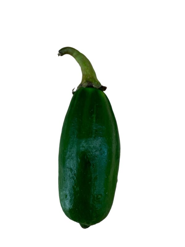 Jiló Fresco ( Bolsa de 1kg )